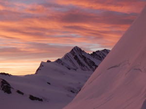 7-23 1 ｸﾞﾛｽ ﾌｨｯｼｬｰﾎﾙﾝ：ﾒﾝﾋﾋｭﾂﾃより