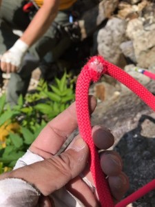 line_1361660812099878