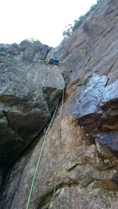 line_2151630349499915